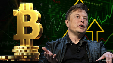el desplome del criptomercado: ¿obstaculo momentaneo o el inicio de la debacle?