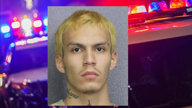 arrestado confiesa que mato a tiros a una perrita en miami