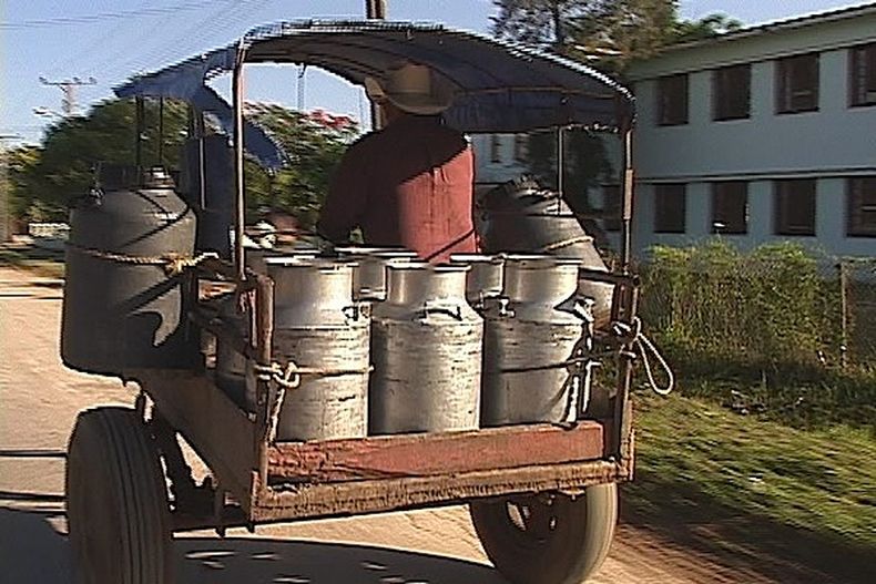Porque la producción de leche está en manos del estado controlador. Si te agarran vendiendo leche te quitan hasta la vaca.