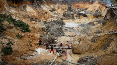 cuerpos de seguridad del estado son parte del accionar violento que vulnera los ddhh en zonas fronterizas de venezuela