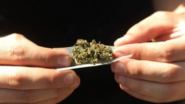 autoridades del condado planean suavizar los castigos por posesion de marihuana
