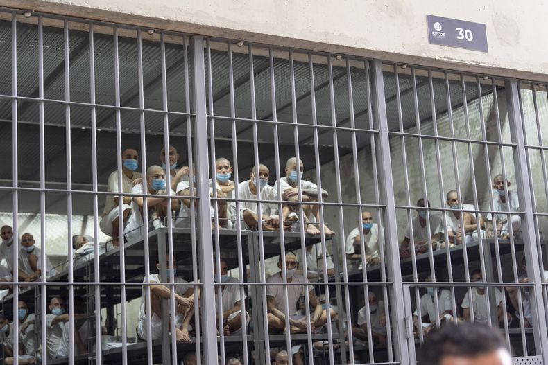 Un grupo de reos observa hacia afuera de su celda mientras la secretaria de Seguridad Nacional de Estados Unidos, Kristi Noem, recorre el Centro de Confinamiento del Terrorismo el miércoles 26 de marzo de 2025, en Tecoluca, El Salvador. (AP Foto/Alex Brandon)