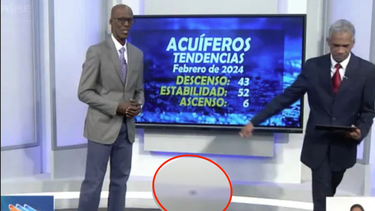 una cucaracha se pasea por el set del noticiero de la tv cubana mientras emiten en vivo