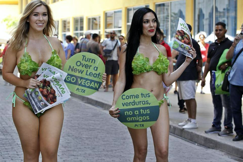 Screen Shot 2017-03-02 at 7.22.24 PM.png