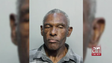 arrestan al responsable de la brutal golpiza que recibio un hispano en el metromover de miami