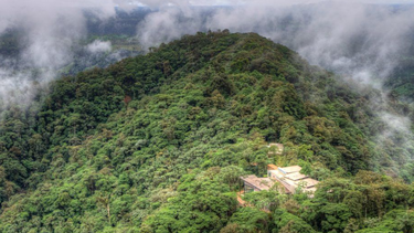 mashpi lodge, el hotel de lujo en ecuador que logro salvar uno de los bosques tropicales mas bellos y diversos del planeta