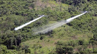 Aumentó la producción de coca en Colombia en 2014, dice EEUU