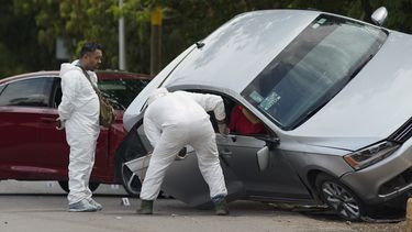 Médicos forenses trabajan el domingo 2 de julio de 2023 en Apatzingán, México, en el sitio donde un hombre no identificado fue asesinado. (AP Foto/Eduardo Verdugo)