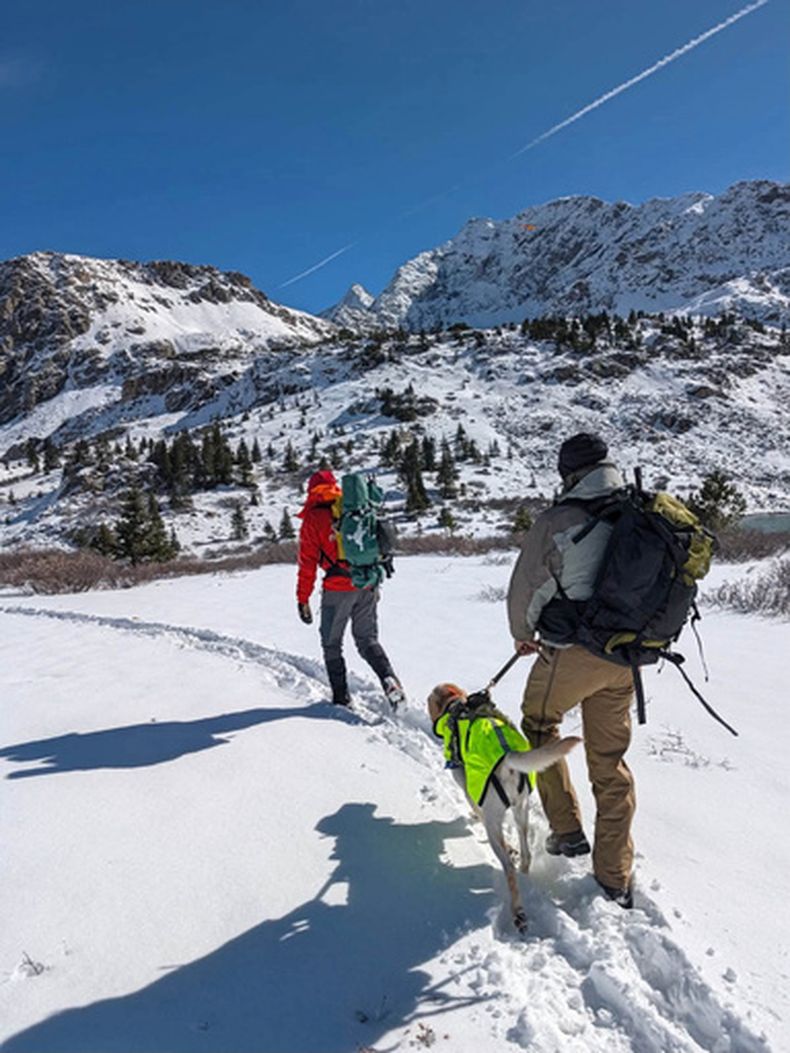 Foto entregada por la Policía del condado Chaffee, que muestra a voluntarios buscando a montañistas desaparecidos cerca de la montaña West Apostle Mountain, en Colorado, el 28 de octubre del 2026. (Policía del condado Chaffee via AP)