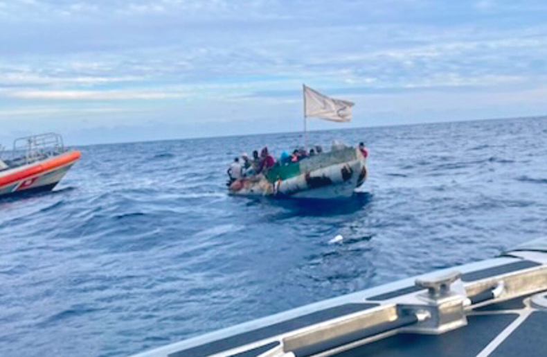 Screen Shot 2023-12-13 at 11.29.43 AM.png