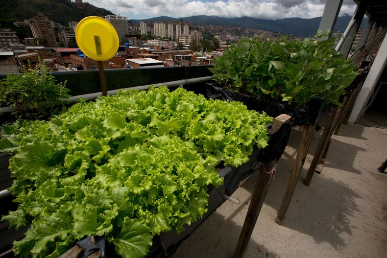 REP-GEN_VENEZUELA-CRISIS_HAMBRE-9.jpg