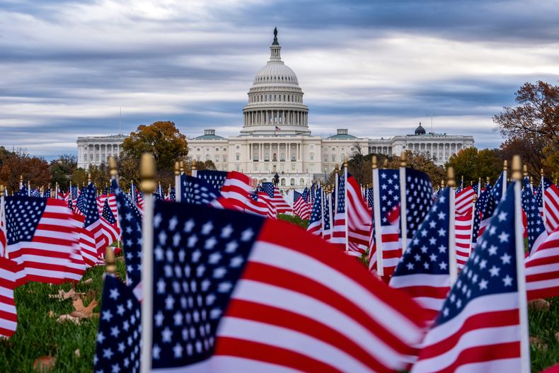 Banderas estadounidenses en miniatura ondean en el National Mall con el Capitolio al fondo, el lunes 10 de noviembre de 2025, en Washington. (AP Foto/J. Scott Applewhite)