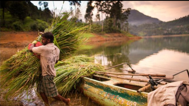 el sorprendente caso que demuestra que america latina tambien puede librarse de la malaria