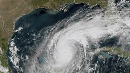 Esta imagen del satélite GOES-16 GeoColor tomada a las 12:15 de la tarde hora local y proporcionada por la Oficina Nacional de Administración Oceánica y Atmosférica (NOAA, por sus siglas en inglés) muestra al huracán Milton en el Golfo de México, frente a la costa de la Península de Yucatán, México, el martes 8 de octubre de 2024. (NOAA vía AP)