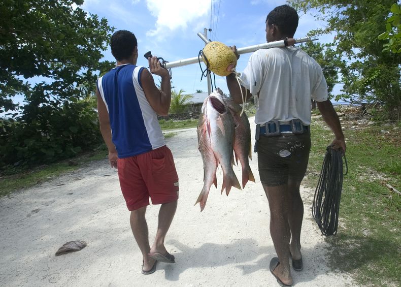 Si sorprenden al pescador vendiendo pescado, se complica con fuerte multa, pérdida de licencia, y decomiso de artes de pesca.