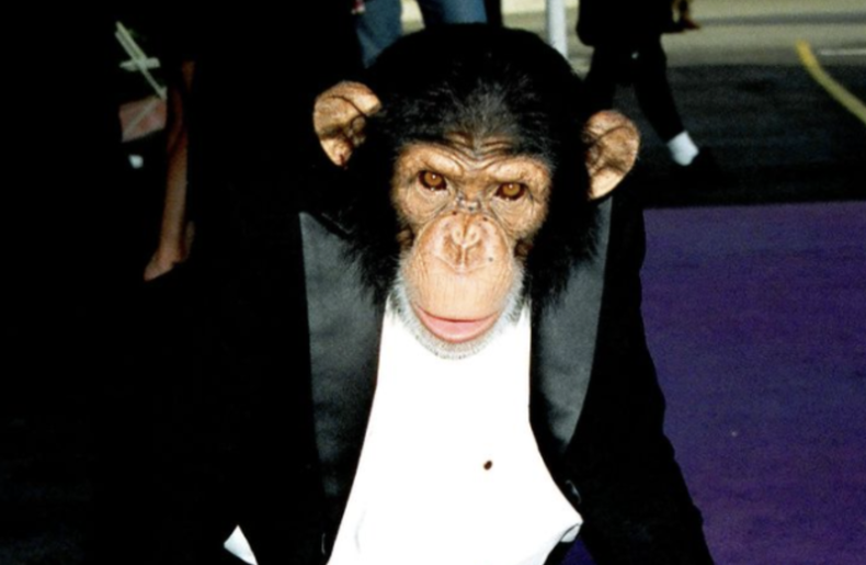 Screen Shot 2022-08-30 at 2.34.38 PM.png