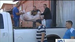 navidad con el tipico lechon asado