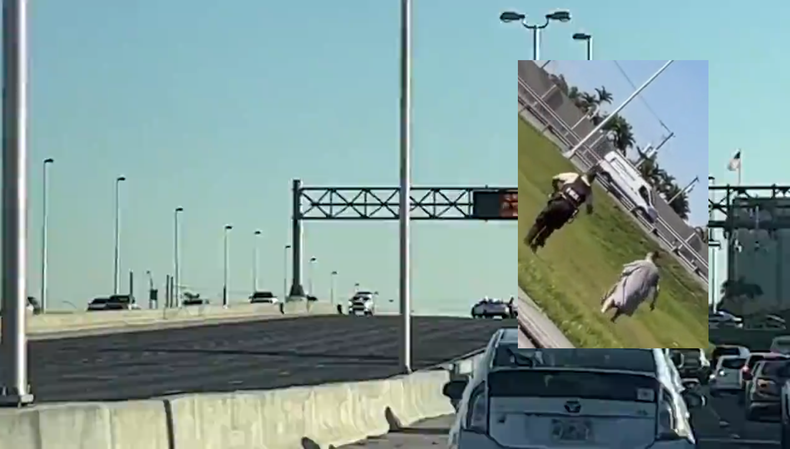 Screen Shot 2022-01-24 at 7.39.38 PM.png