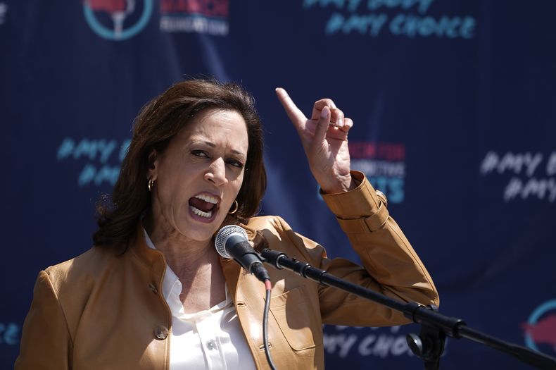 La vicepresidenta Kamala Harris en la Marcha de las Mujeres en Los Ángeles, el sábado 15 de abril de 2023. (AP Foto/Damian Dovarganes)