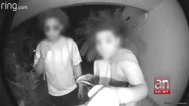 Un grupo niños que recogía dulces durante la noche de Halloween terminó robándose los paquetes de una vivienda