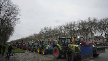Tractores están estacionados durante una protesta cerca del Castillo de Versalles, en las afueras de París, el viernes 1 de marzo de 2024. (AP Foto/Michel Euler)