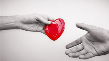por que se debe donar sangre dos veces al ano