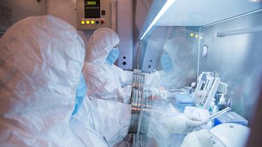 Esta foto sin fecha publicada por el Instituto de Investigación Antipeste de Irkutsk de Siberia y Lejano Oriente, muestra a los trabajadores del instituto en un laboratorio. (Foto, Instituto de Investigación Anti-Peste de Irkutsk de Siberia y Lejano Oriente vía AP)