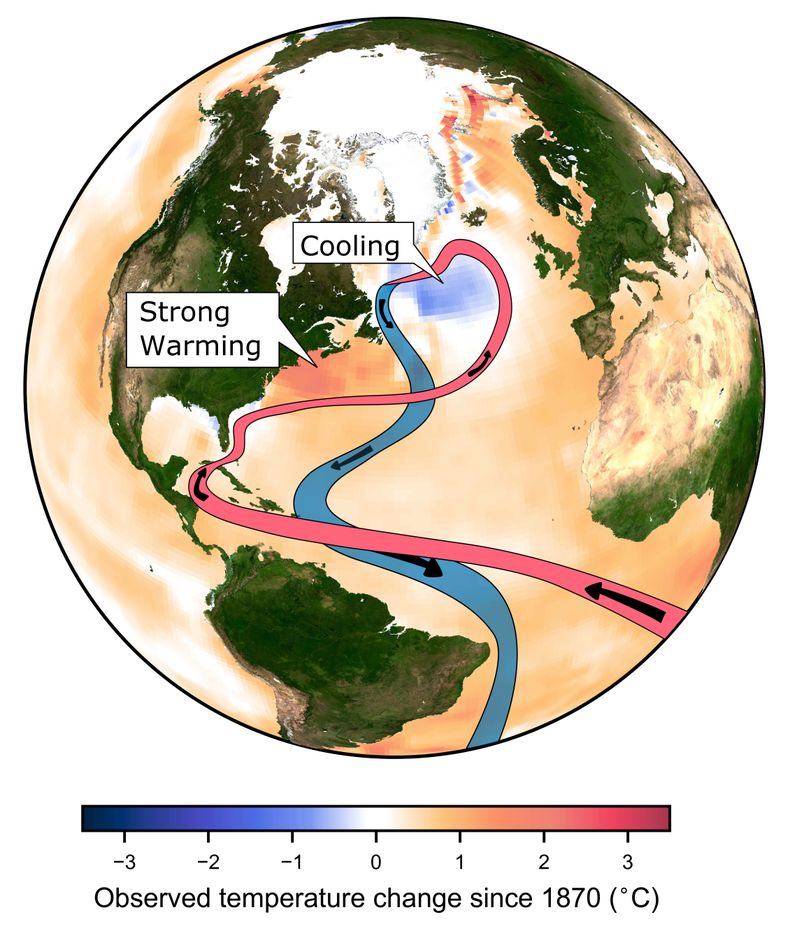 AMN-CIE_OCEANOS_DEBILES-0.jpg