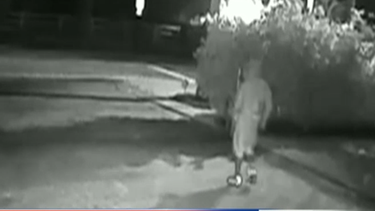 ola de robos en pine crest