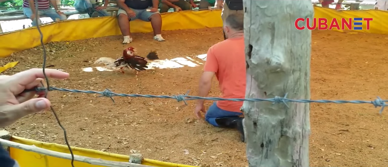 Screen Shot 2016-09-05 at 10.49.34 AM.png