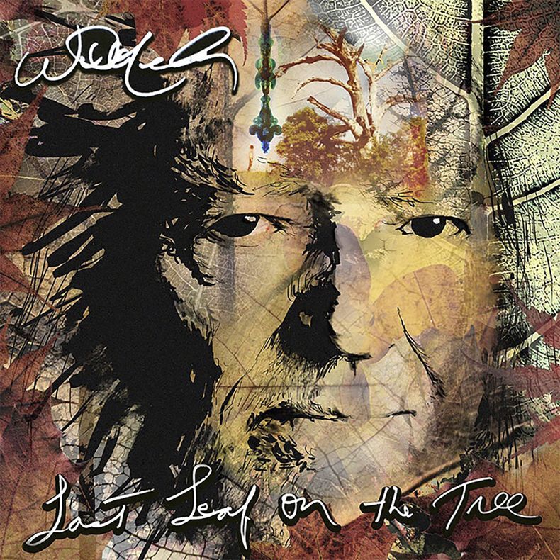 Esta imagen de portada proporcionada por Sony Music muestra Last Leaf On the Tree de Willie Nelson. (Sony Music vía AP)
