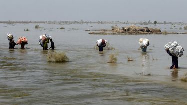 Estiman en 40.000 millones los daños del monzón en Pakistán