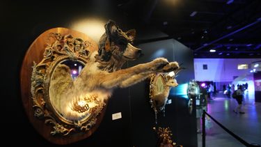 Una obra de arte en una exhibición de la conferencia de Ciencia Alucinógena en el Centro de Convenciones de Colorado, el miércoles 21 de junio de 2023, en Denver. (AP Foto/David Zalubowski)