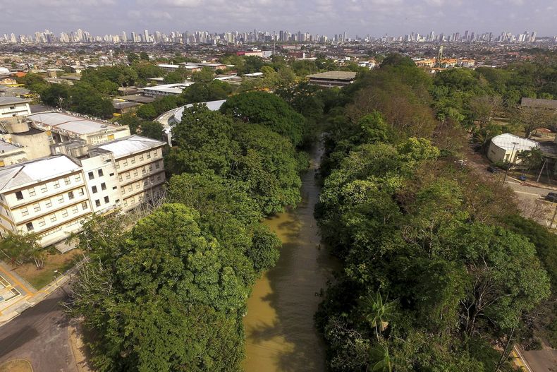 El río Tucunduba fluye cerca de la Universidad Federal de Pará en Belem, Brasil, el 27 de septiembre del 2024. (AP foto/Paulo Santos)