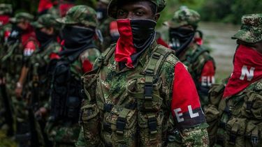 mas de 10.000 guerrilleros de colombia tienen influencia en departamentos fronterizos con venezuela