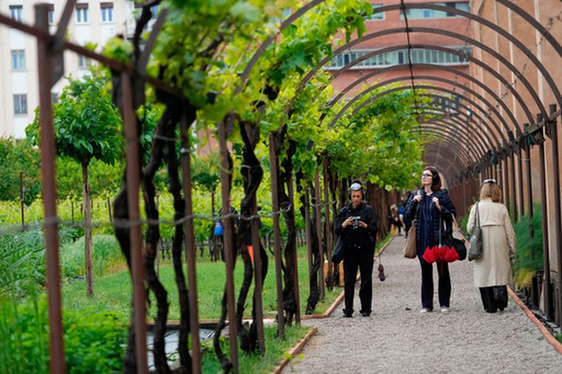 Visitantes disfrutan del pabellón del Vaticano El oído es el ojo del alma, en los místicos jardines de las Carmelitas Descalzas, durante la Bienal de Arte, en Venecia, Italia, el 6 de mayo de 2026. (AP Foto/Luca Bruno)
