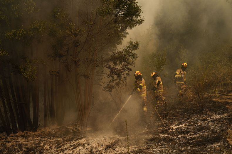 AMS-GEN CHILE-INCENDIOS FORESTALES