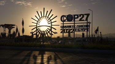 ONU investiga denuncias contra policías egipcios en la COP27