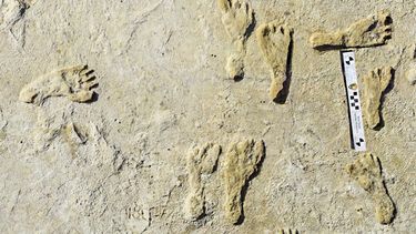 Hallan huellas humanas de hace 23.000 años en Nuevo México