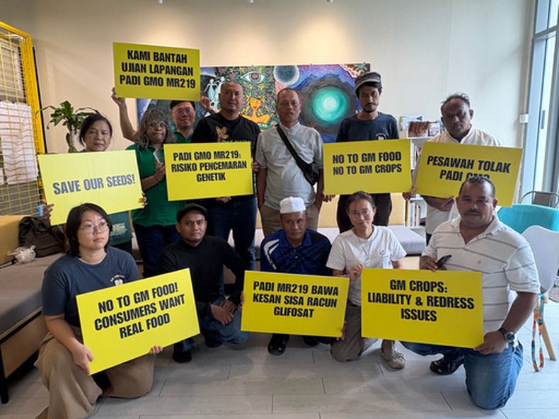 Una coalición de agricultores, consumidores y ambientalistas con pancartas después de una conferencia de prensa en las oficinas de Greenpeace en Kuala Lumpur, Malasia, el 11 de agosto del 2026. (AP foto/Eileen Ng)