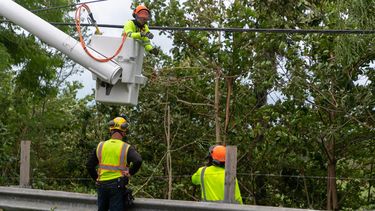 lento el avance en la restauracion del servicio electrico y de agua potable