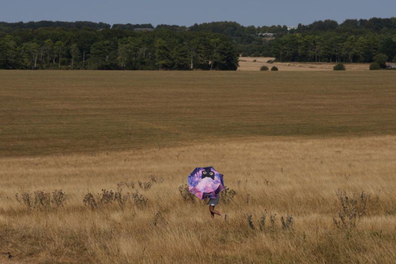 Una persona se protege del sol con un paraguas mientras camina entre la herba seca en Stonehenge, en Wiltshire, Inglaterra, el 13 de agosto de 2026. (AP Foto/Kin Cheung)