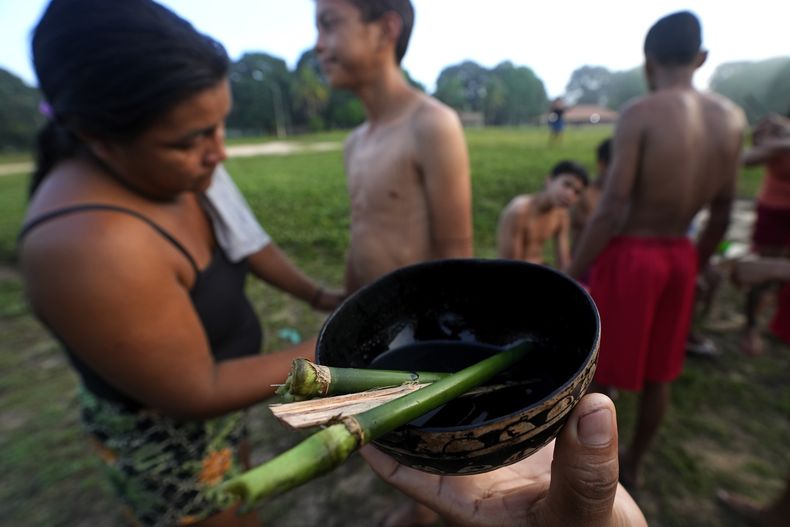 Una persona sostiene un cuenco con jugo de genipap, utilizado tradicionalmente por los indígenas como pintura corporal, durante el segundo día del rito de madurez Wyrawhaw, en el centro ritual Ramada, en la aldea Tenetehar Wa Tembe, en la tierra indígena Alto Río Guamá, en el estado de Pará, Brasil, el 10 de junio de 2023. (AP Foto/Eraldo Peres)