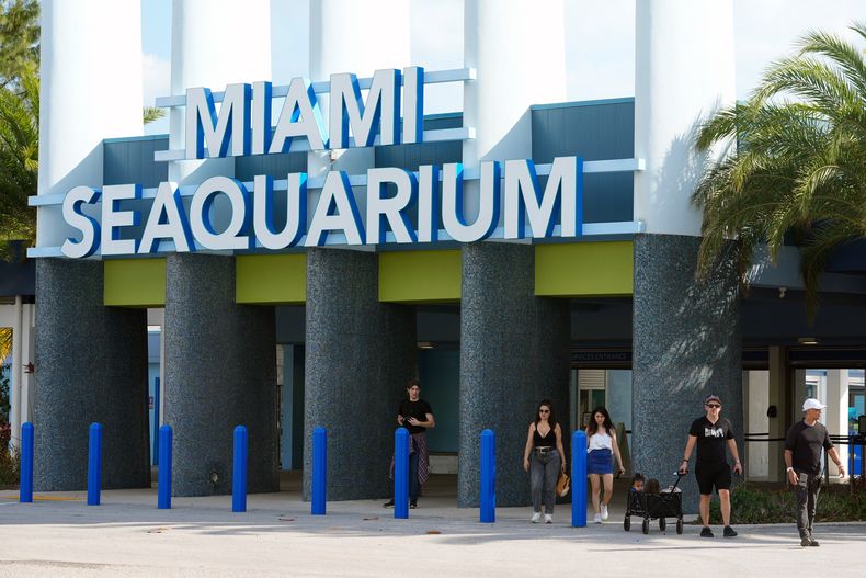Visitantes salen del Miami Seaquarium, el 7 de marzo de 2024, en Key Biscayne, Florida. (AP Foto/Marta Lavandier, Archivo)