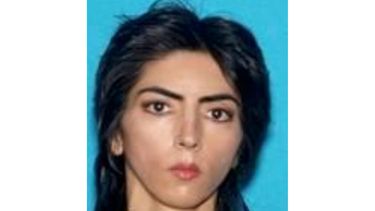 policia: atacante de youtube estaba calmada antes de ataque