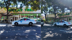 horror en miami: encuentran el cuerpo de una mujer dentro de un congelador en una tienda dollar tree