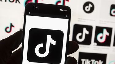 prohibieron el uso de tiktok en las universidades estatales de la florida