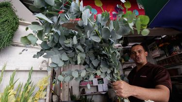 americateve | Pañales de tela, bicarbonato para desodorante y vinagre para limpiar el piso. No es la lista de la compra de un joven medioambientalista. Es una muestra sobre cómo una creciente cantidad de venezolanos adinerados enfrentan un periodo de severa escasez.