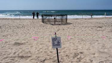 Un letrero cerca de una zona de anidación de tortugas marinas en la playa de Huntington Beach, California, el martes 22 de septiembre de 2026. (ap Foto/Jae C. Hong)