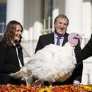 La temporada festiva de fin de año llega a la Casa Blanca